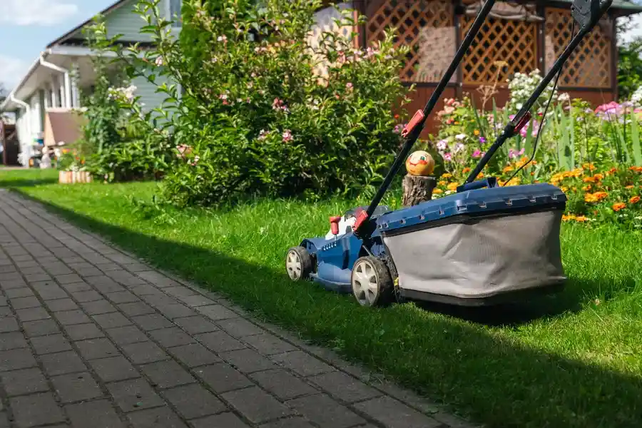 Excellent Landscape Maintenance Paso Robles, CA Excellent Landscape Maintenance Paso Robles, CA