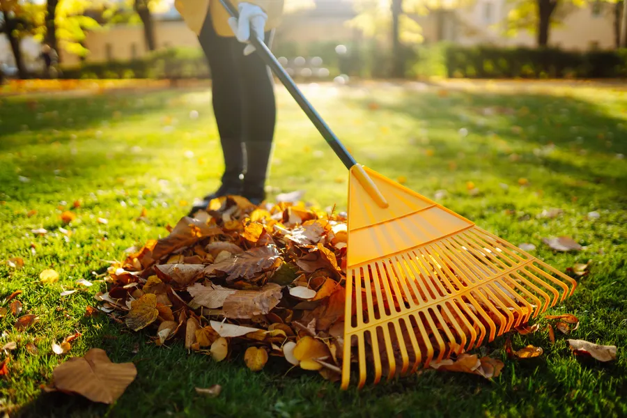 Experienced Yard Maintenance Paso Robles, CA Experienced Yard Maintenance Paso Robles, CA