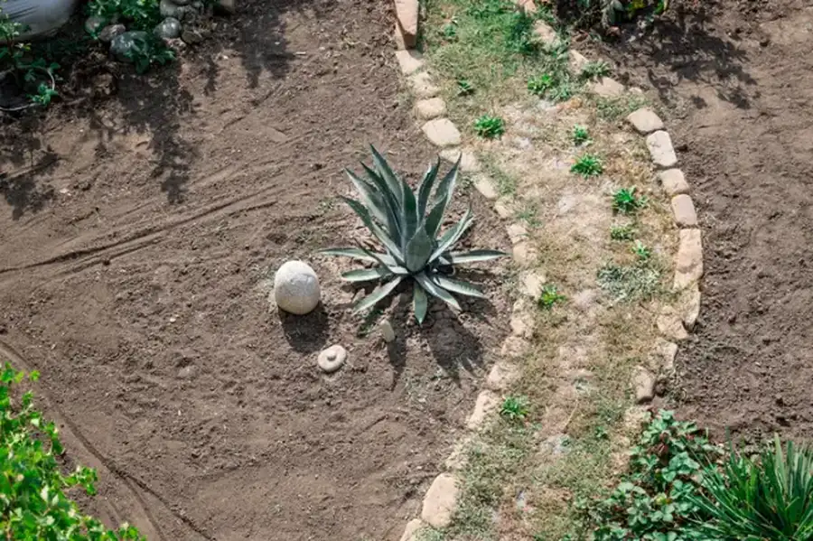 How Landscape Installation Enhances Property Curb Appeal Paso Robles, CA How Landscape Installation Enhances Property Curb Appeal Paso Robles, CA