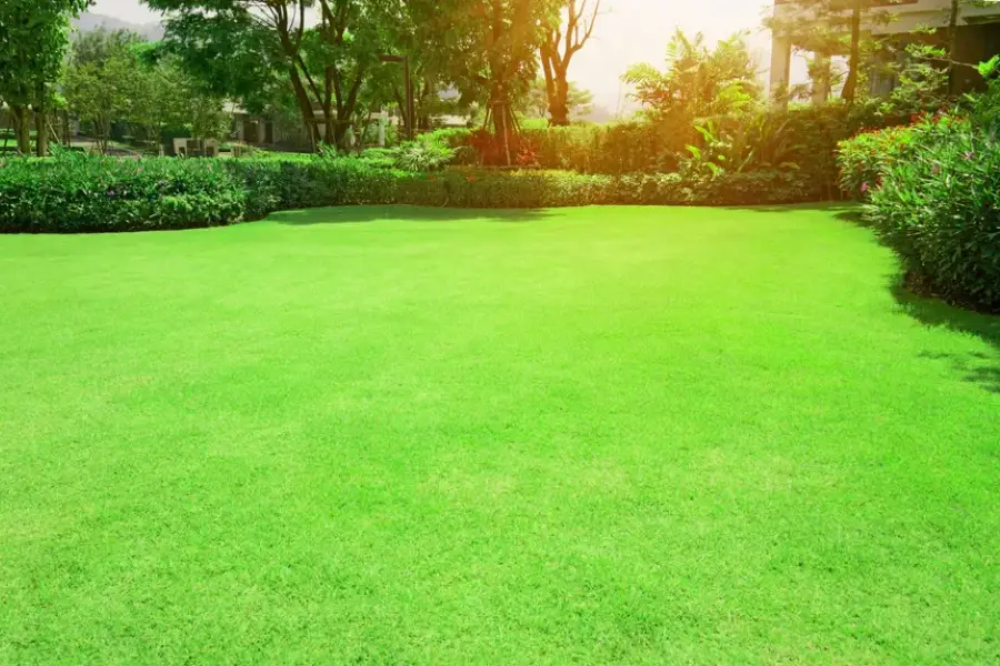 How Mulching Enhances Landscape Maintenance Results Paso Robles, CA How Mulching Enhances Landscape Maintenance Results Paso Robles, CA