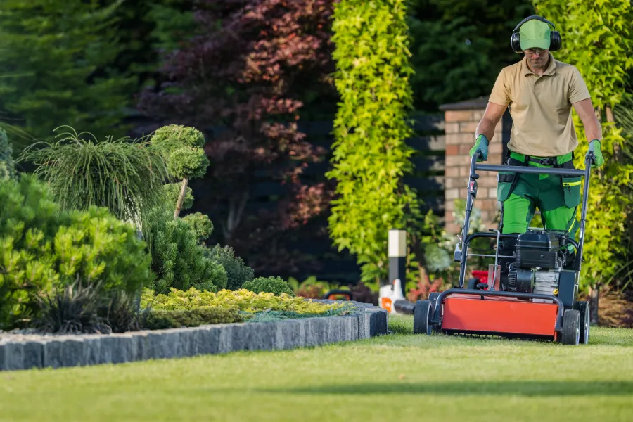 How Yard Maintenance Helps Prevent Lawn Disease And Pests Paso Robles, CA How Yard Maintenance Helps Prevent Lawn Disease And Pests Paso Robles, CA