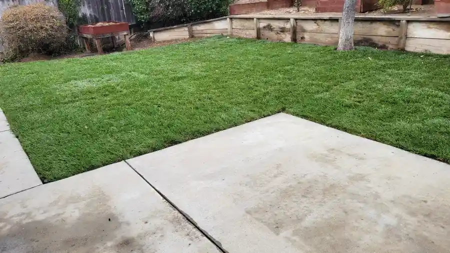 Landscape Installation