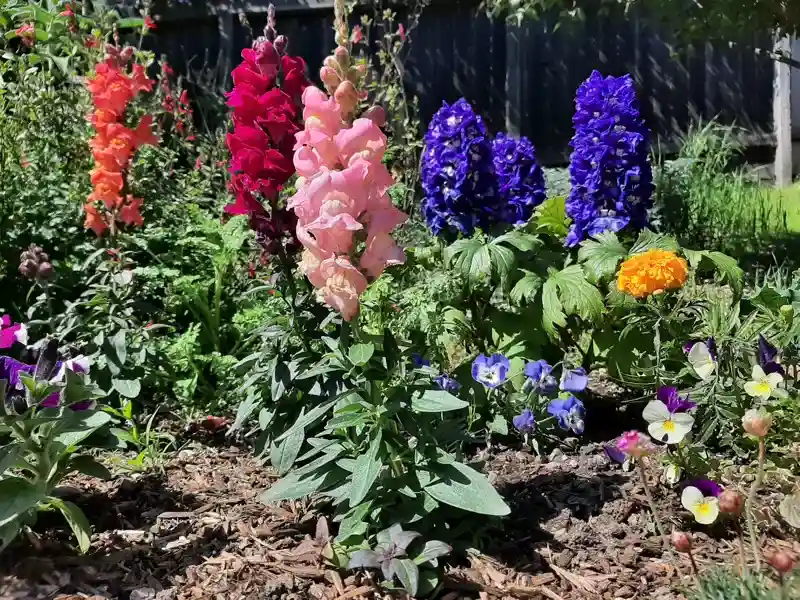 Landscape Maintenance