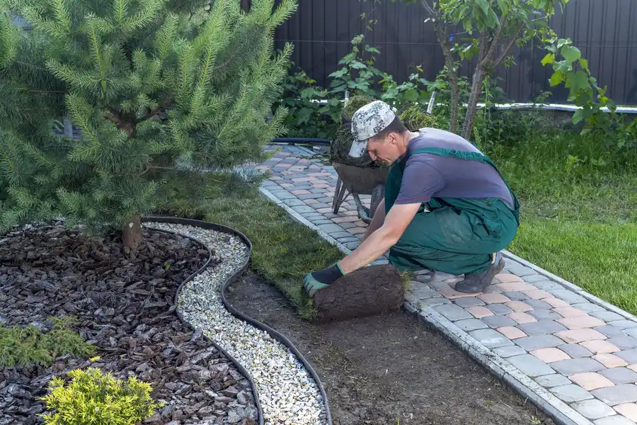 Professional Landscape Installation Paso Robles, CA Professional Landscape Installation Paso Robles, CA