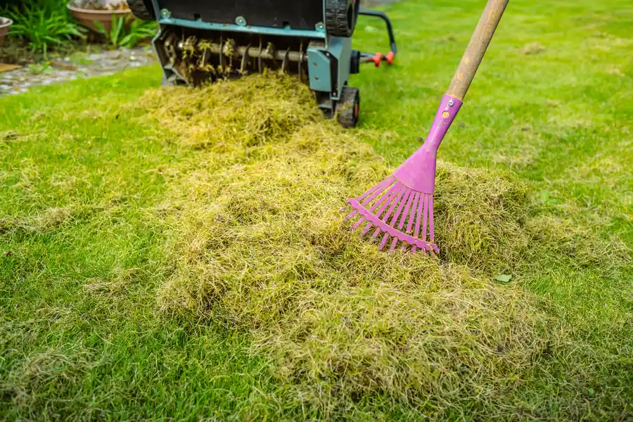 Quality Yard Maintenance Paso Robles, CA Quality Yard Maintenance Paso Robles, CA