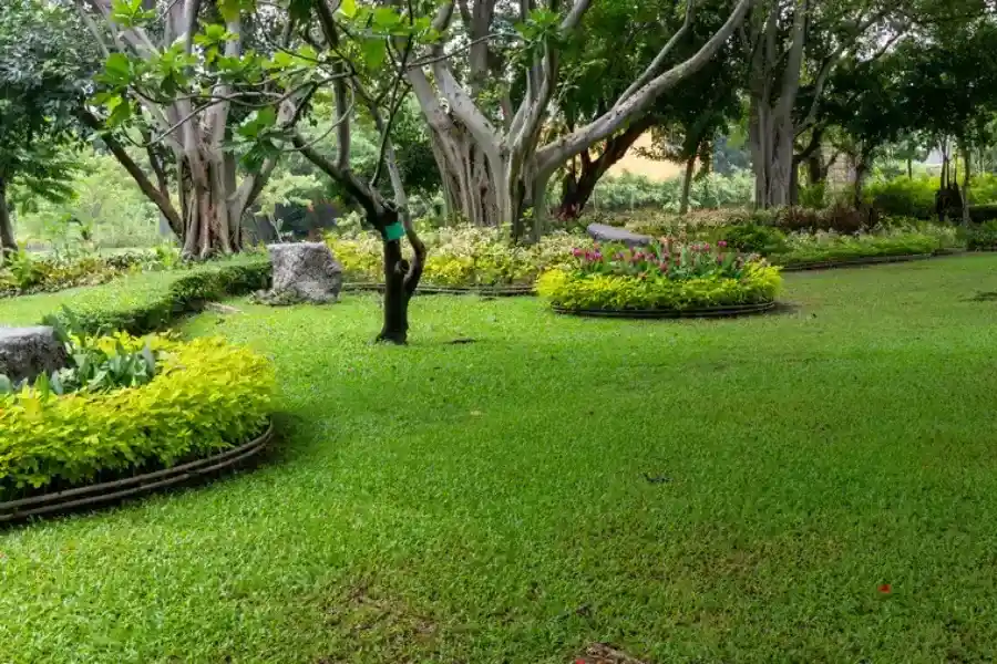 Reliable Landscape Maintenance Paso Robles, CA Reliable Landscape Maintenance Paso Robles, CA