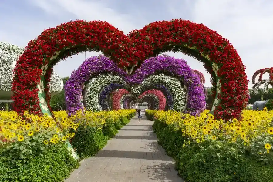Reputable Landscape Installation Paso Robles, CA Reputable Landscape Installation Paso Robles, CA