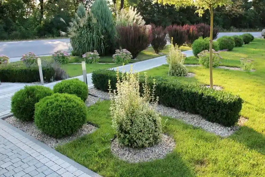 The Role Of Seasonal Landscape Maintenance Tasks in Paso Robles, CA The Role Of Seasonal Landscape Maintenance Tasks in Paso Robles, CA
