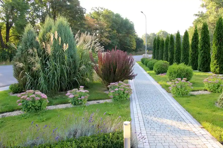 Top-rated Landscape Maintenance Paso Robles, CA Top-rated Landscape Maintenance Paso Robles, CA