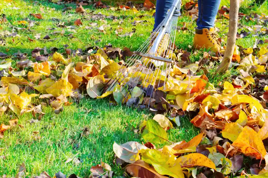 Why You Should Prioritize Yard Maintenance For Family Safety Paso Robles, CA Why You Should Prioritize Yard Maintenance For Family Safety Paso Robles, CA