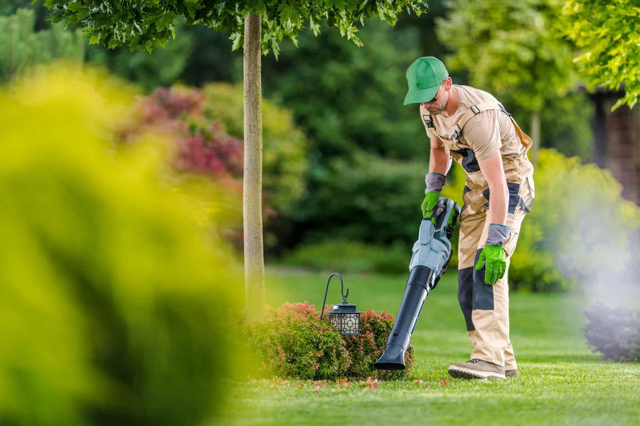 Why You Should Prioritize Yard Maintenance For Family Safety in Paso Robles, CA Why You Should Prioritize Yard Maintenance For Family Safety in Paso Robles, CA